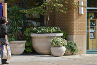 JRA Market Common Clarendon Planter Pots